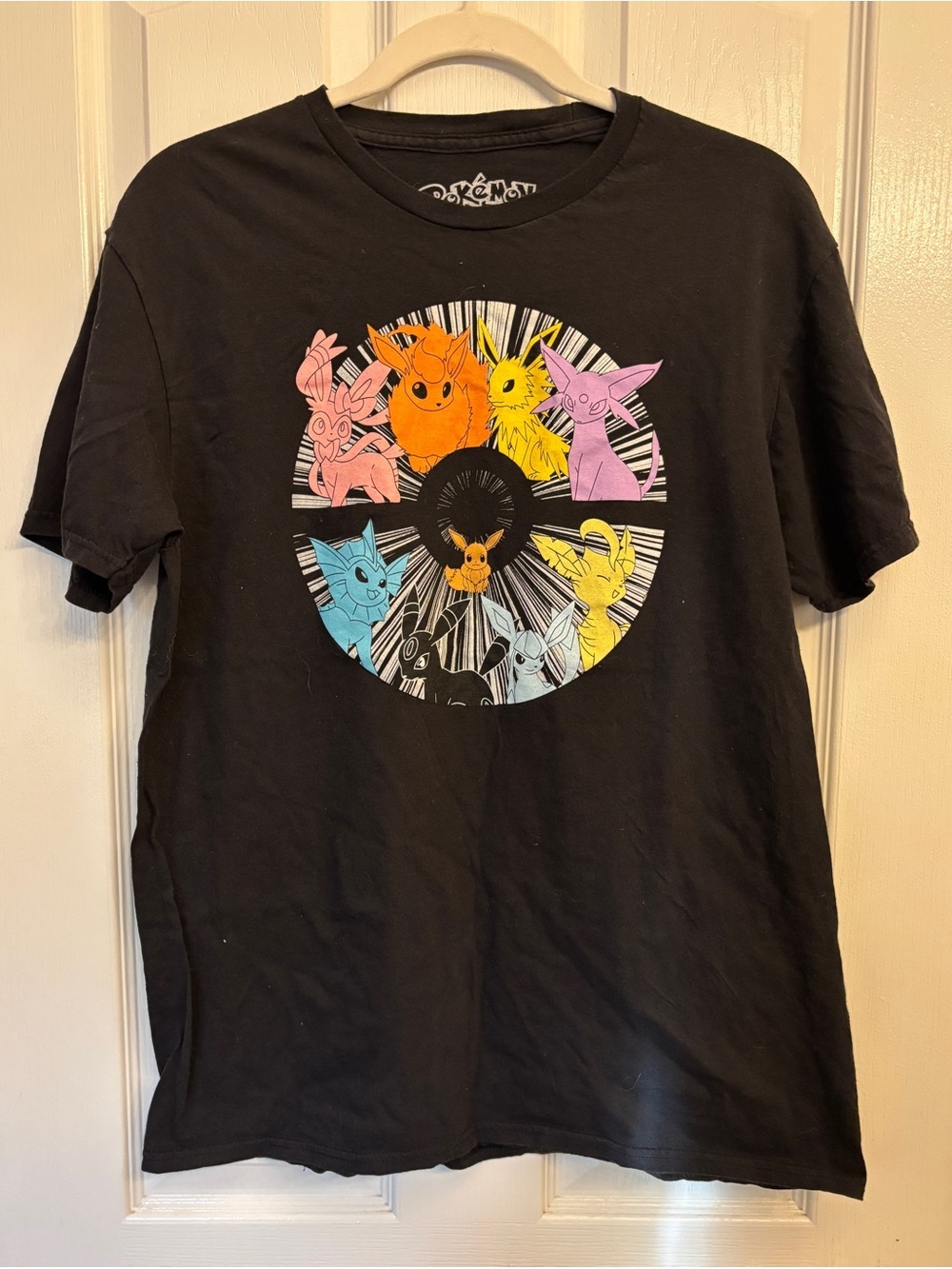 Pokémon 100% Cotton Black T-Shirt ~ Women’s Large